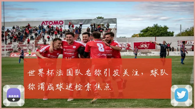 世界杯法国队名称引发关注,球队称谓成球迷检索焦点