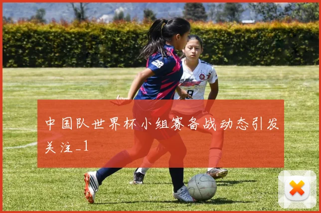 中国队世界杯小组赛备战动态引发关注_1
