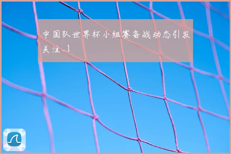 中国队世界杯小组赛备战动态引发关注_1