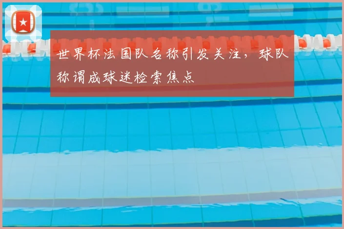 世界杯法国队名称引发关注，球队称谓成球迷检索焦点